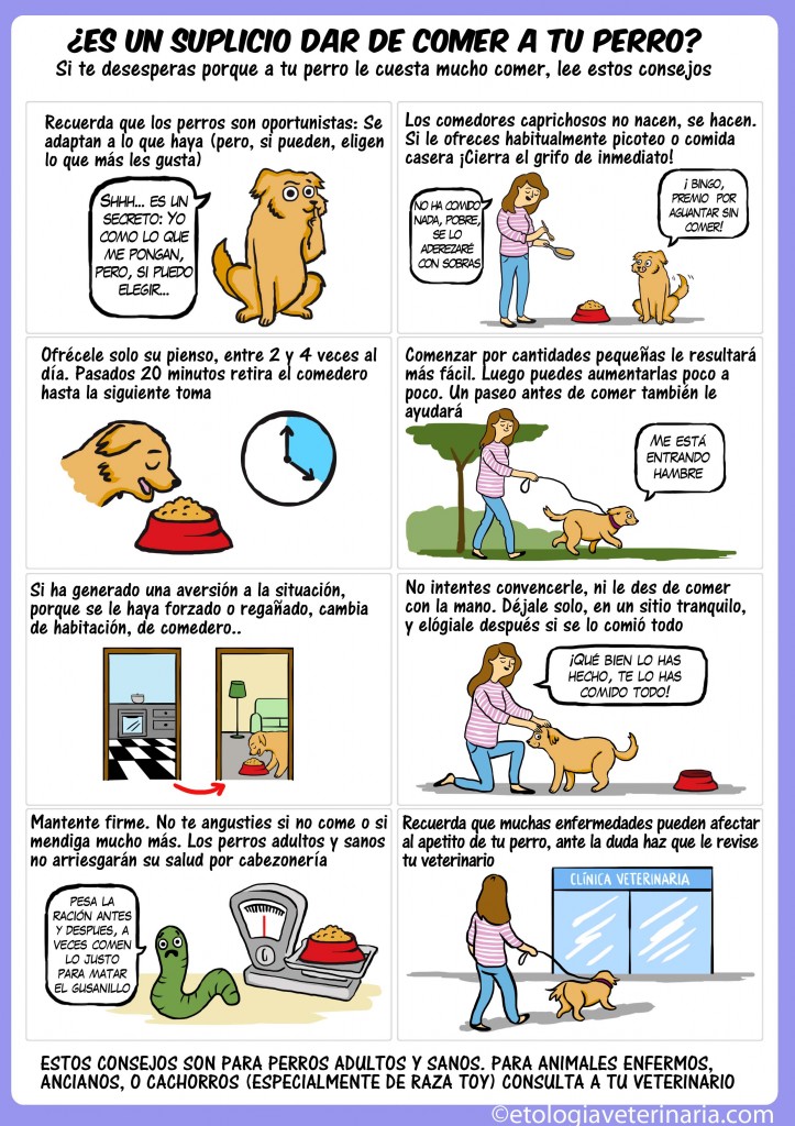 Los perros melindrosos_Etocomic 26